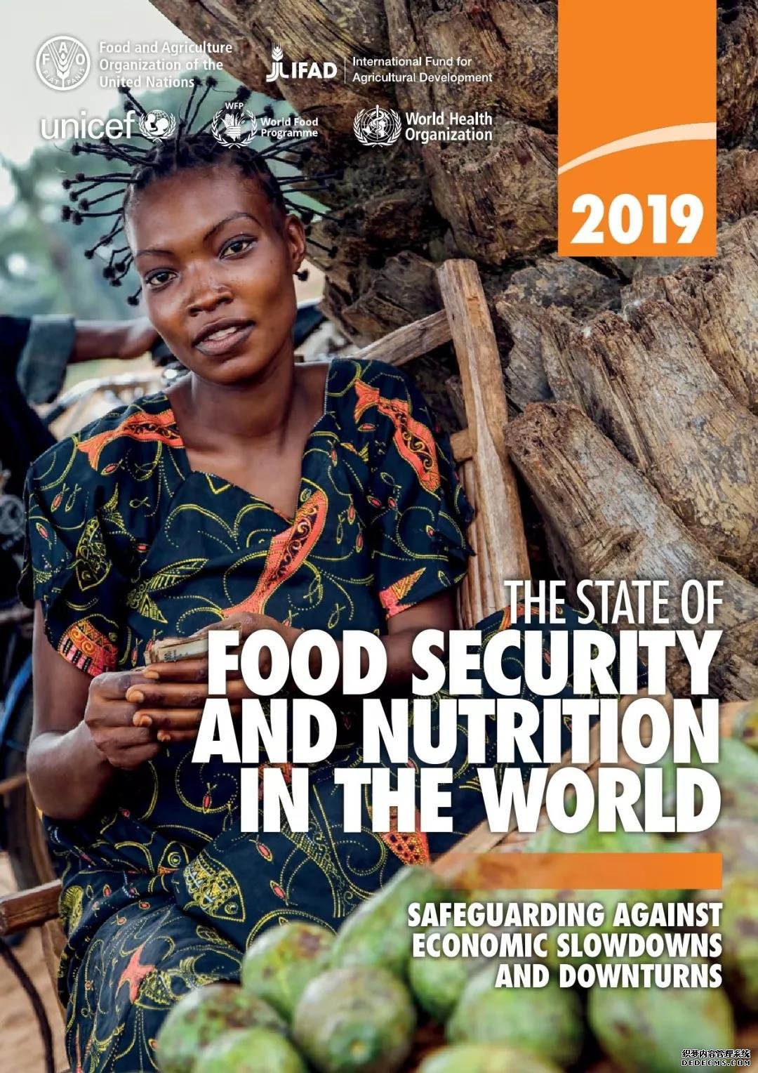 【粮食安全】联合国发布《2019年全球粮食危机报告
